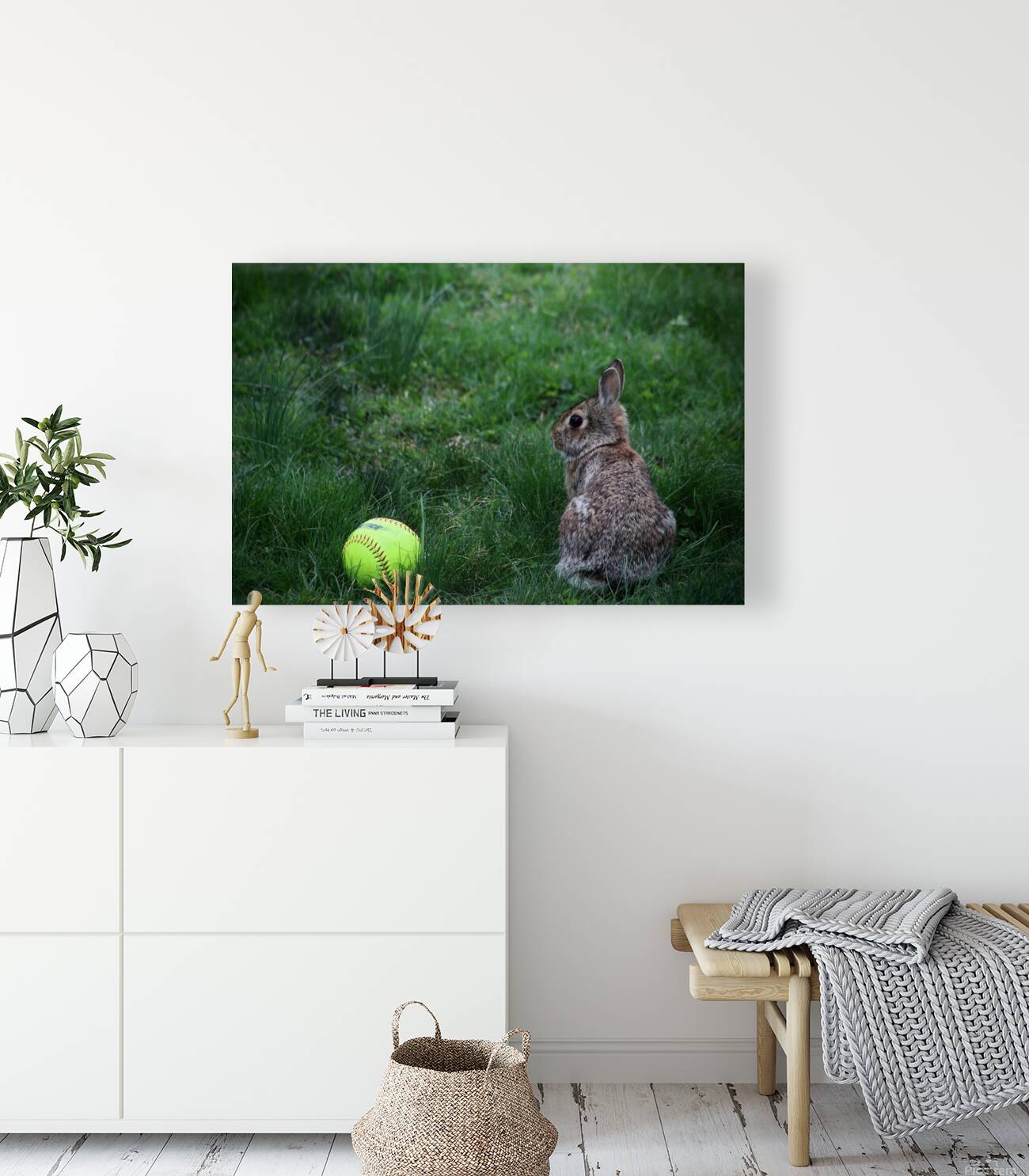 Softball Bunny Reproduction
