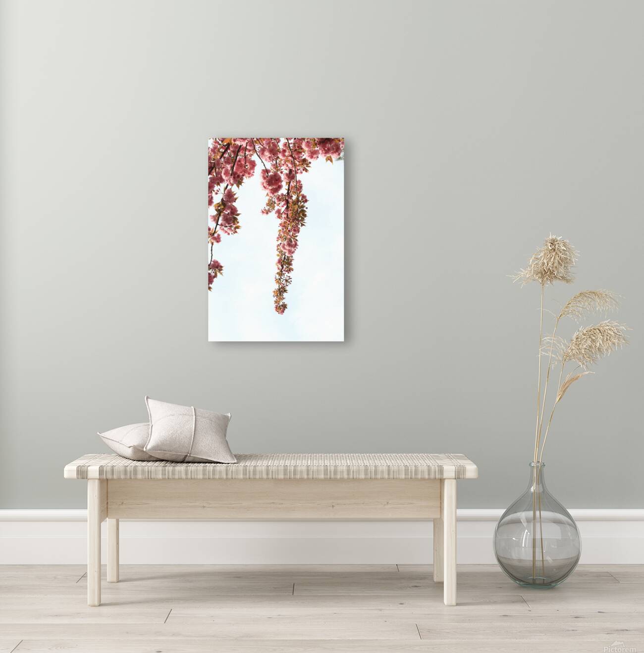Springtime Cherry Blossoms Reproduction