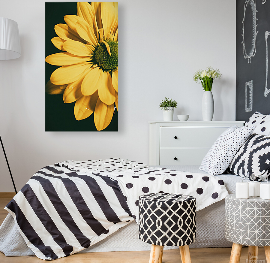 Lazy Daisy Reproduction
