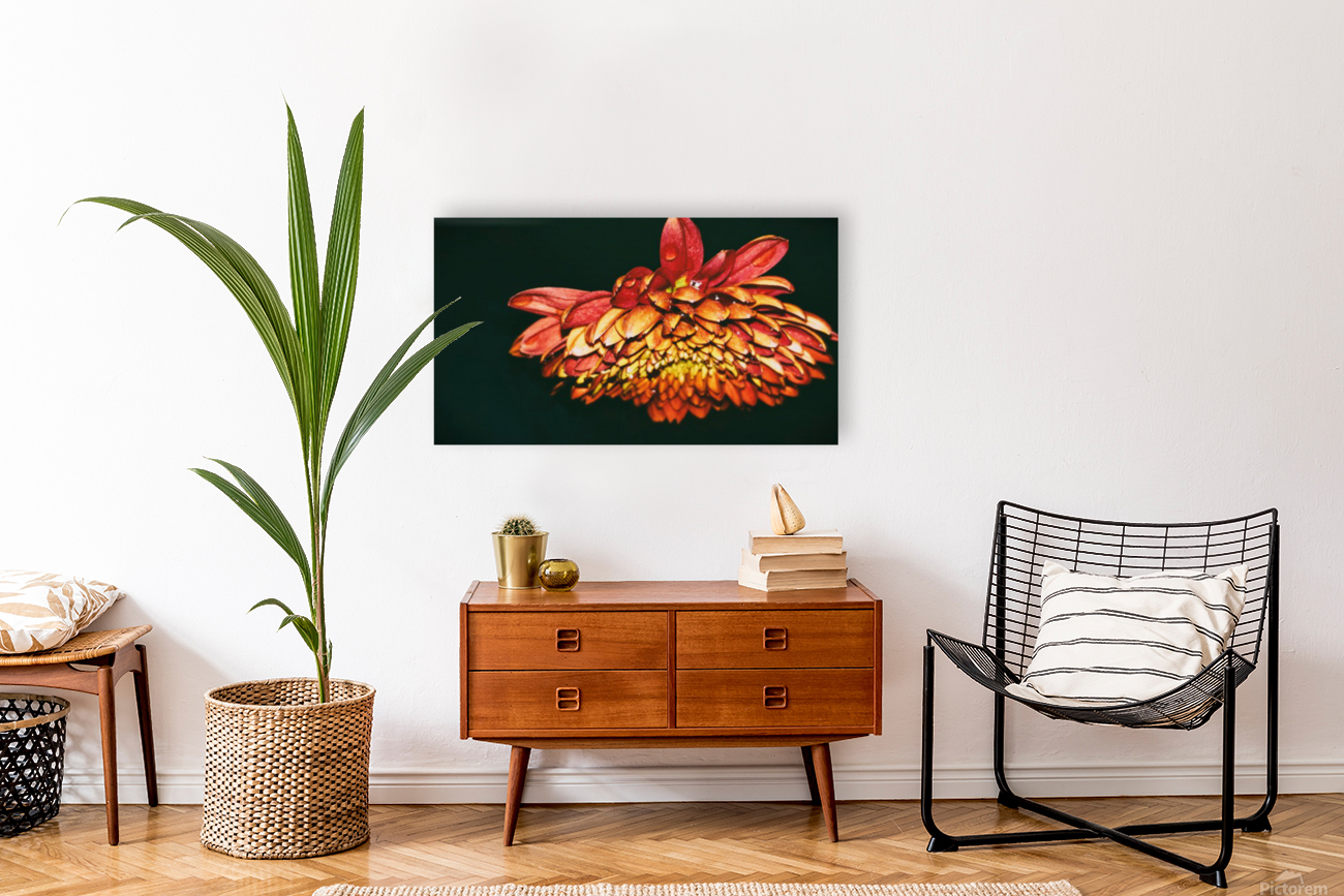 Falling For Mums Reproduction