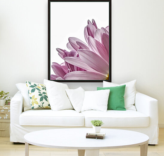 Passion For Pink Reproduction