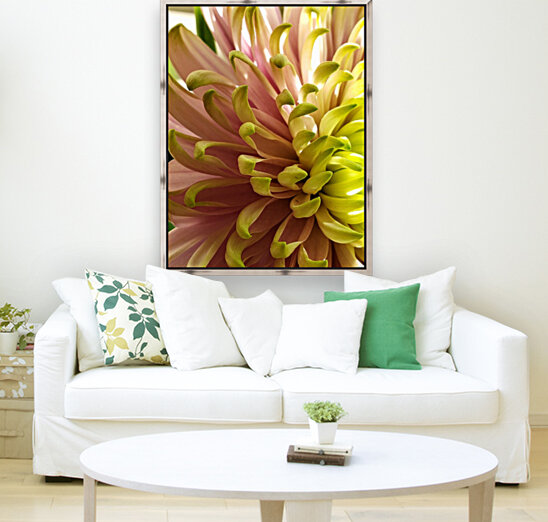 Million Dollar Mum Reproduction