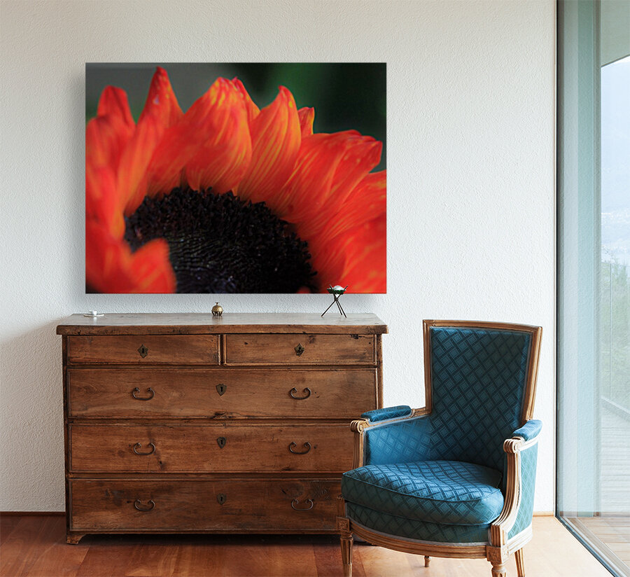 Silky Sunflower Reproduction