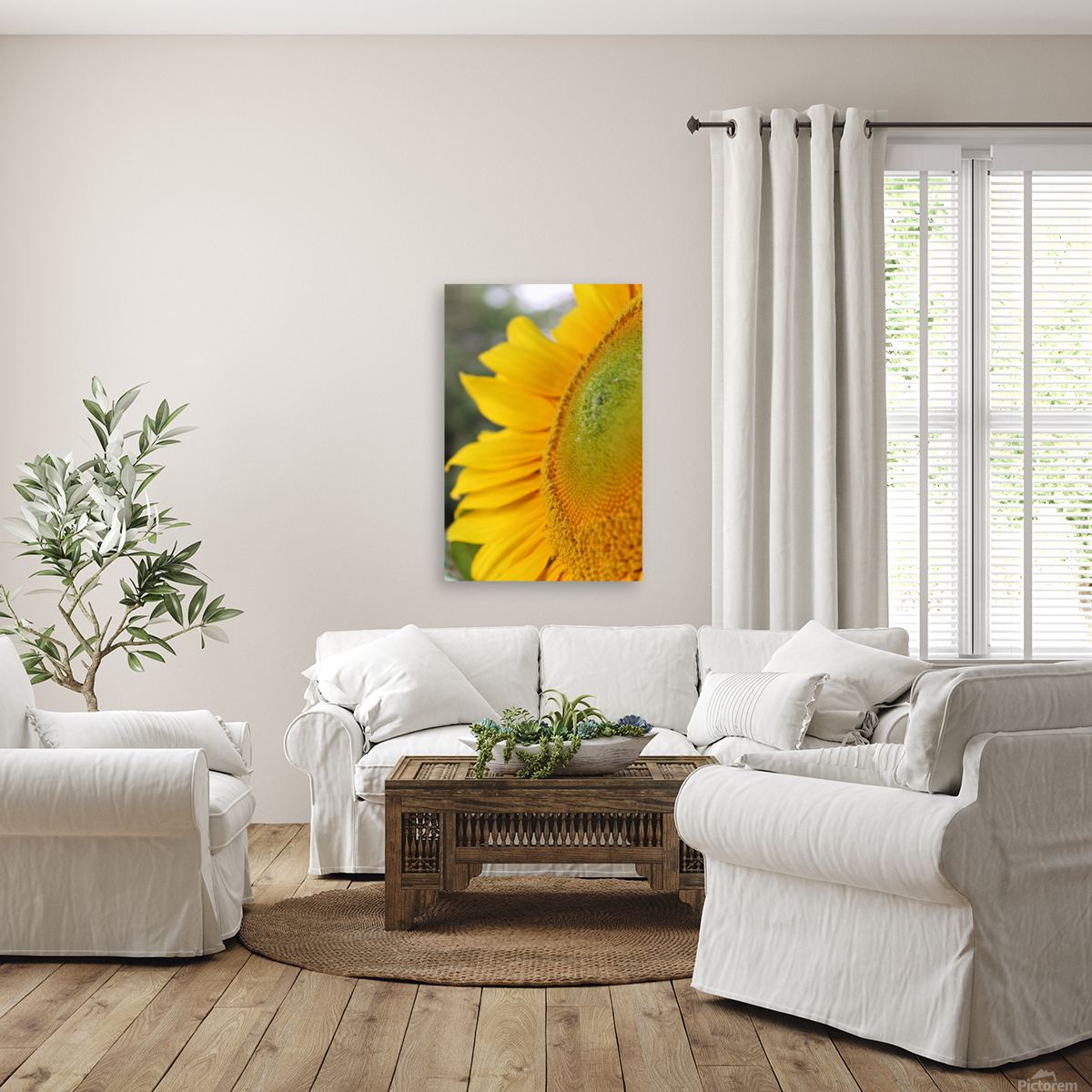 Hello Sunshine Reproduction