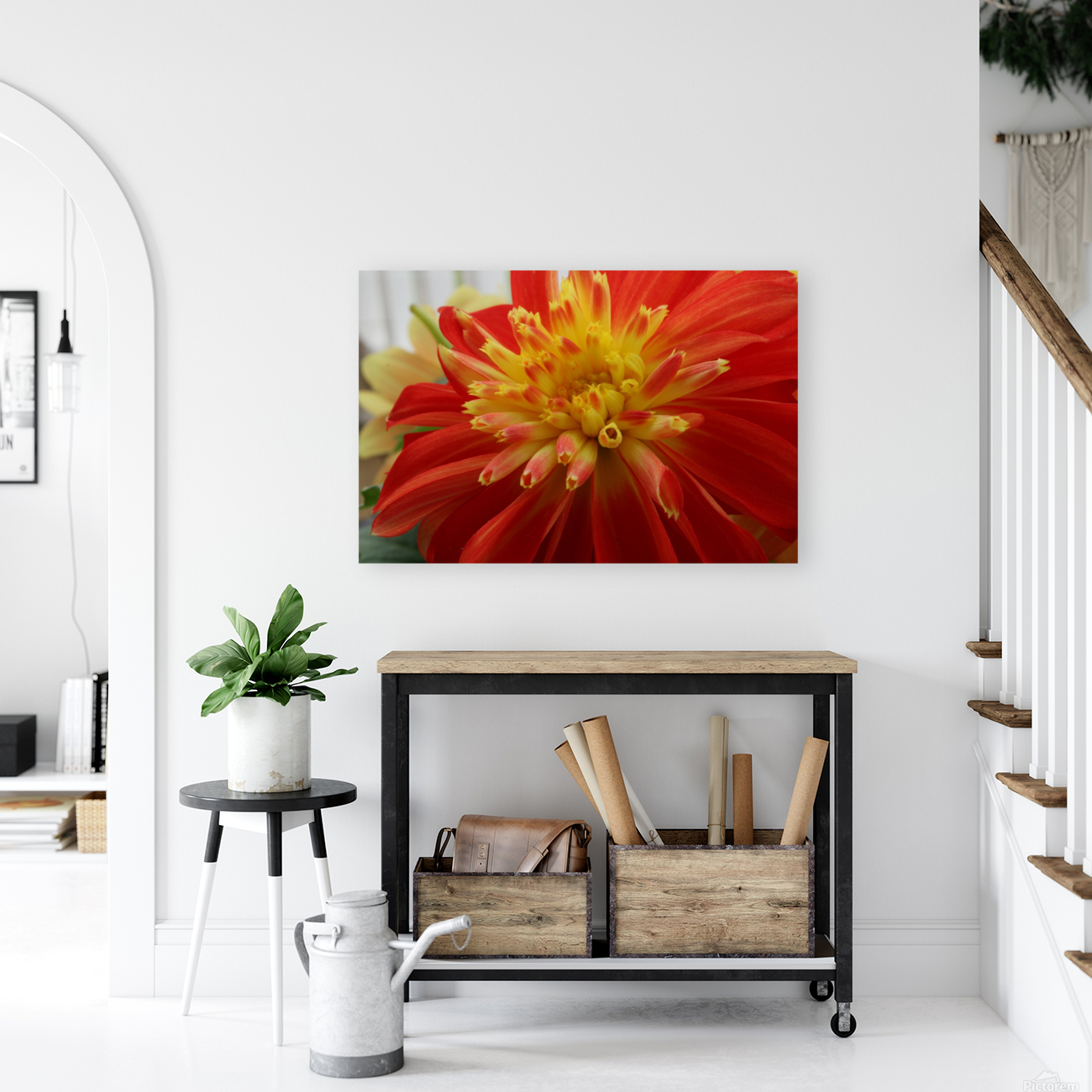 Fireball Flower Reproduction