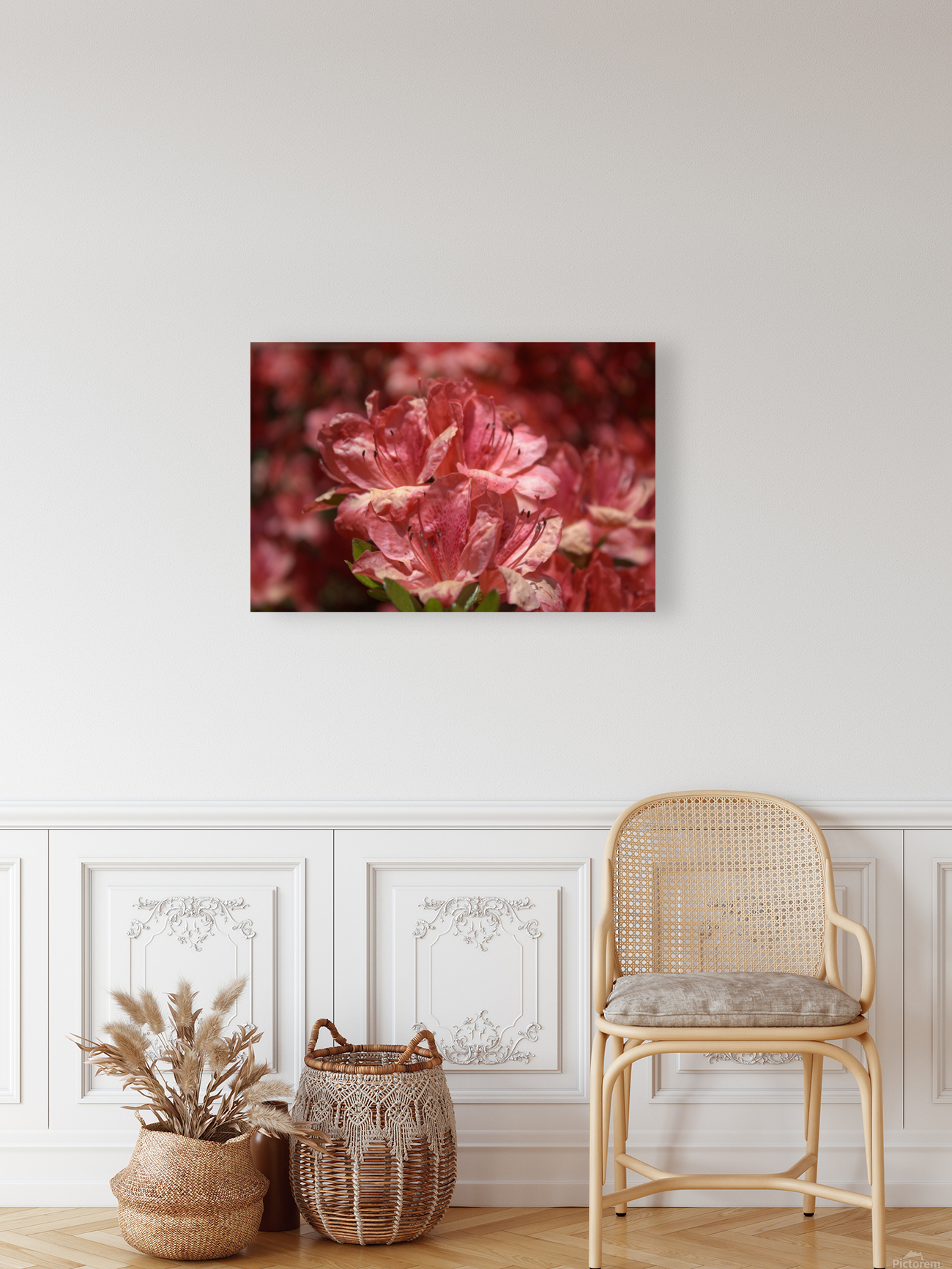 Azaleas I Reproduction