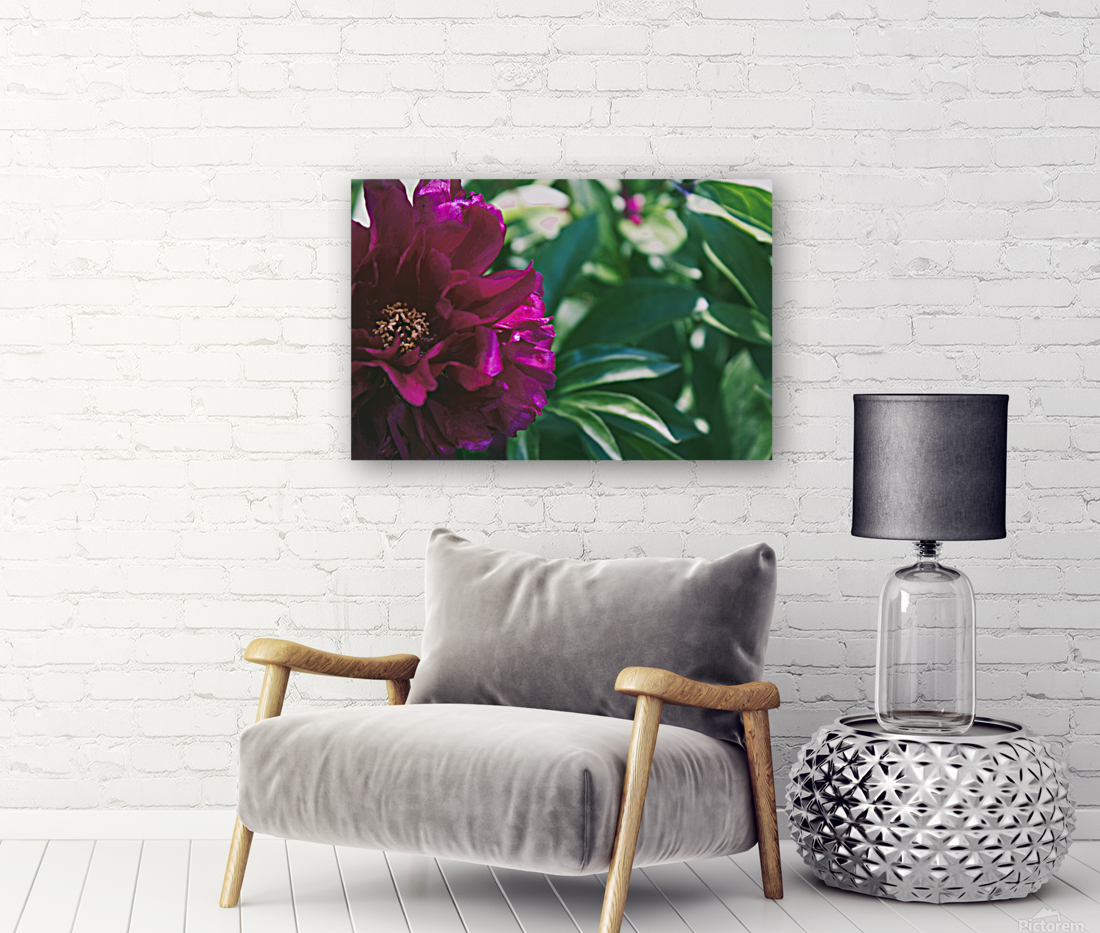 Pretty Pleasing Peonies III Reproduction