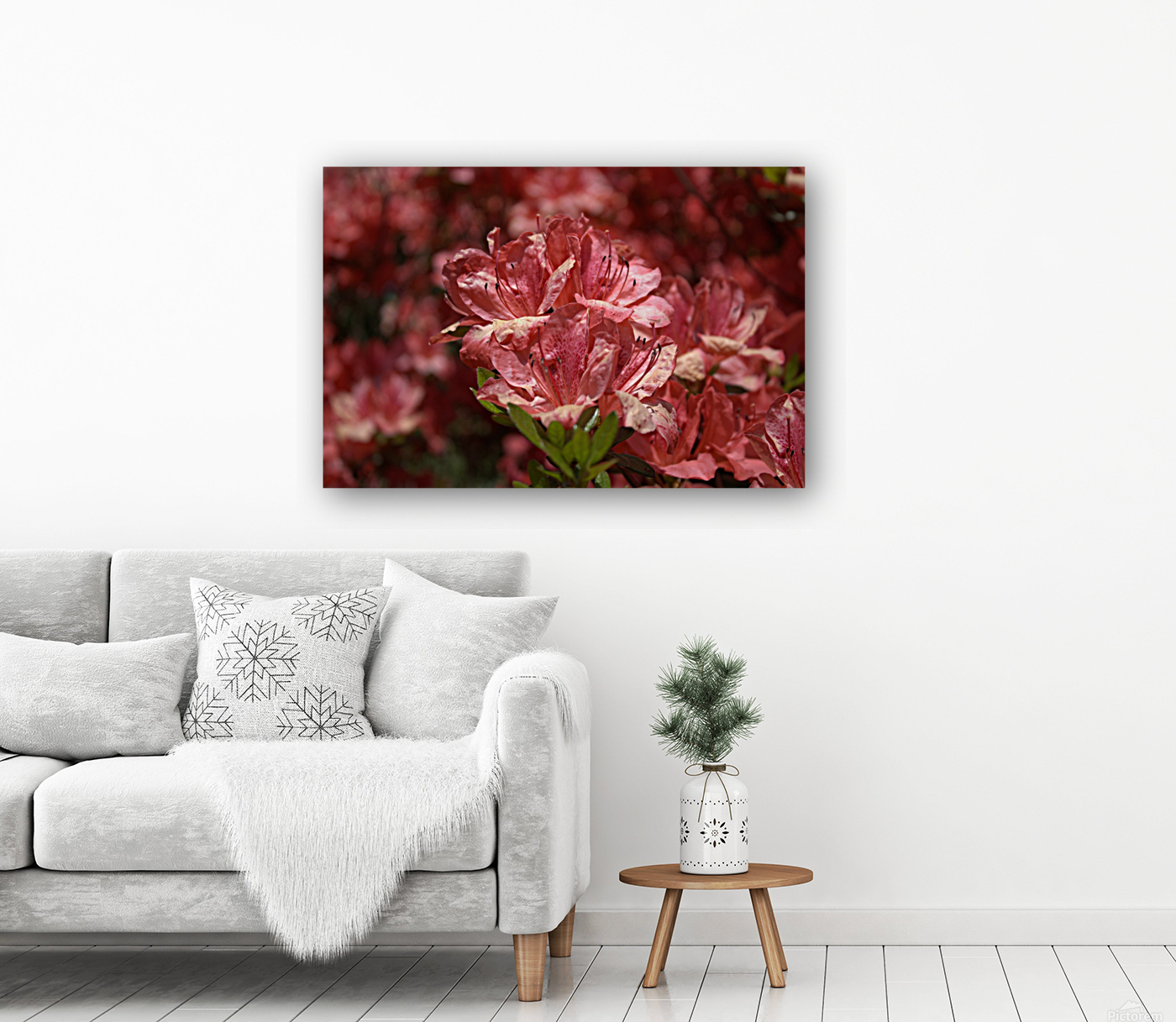 Azaleas III Reproduction