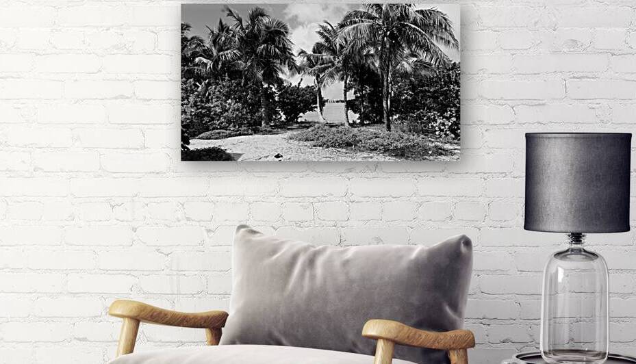 Paradise in B&W Reproduction