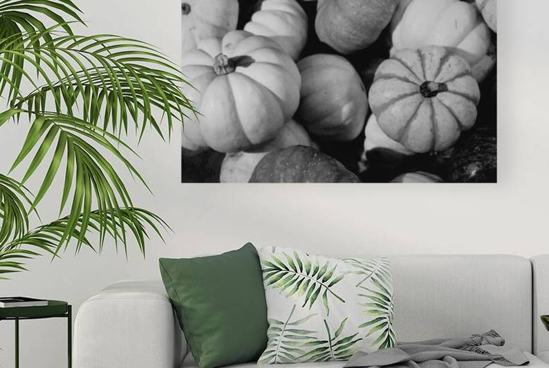 Gourds Galore by Nina Haman Art Photography