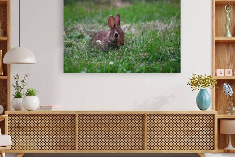 Bunny Bloom III Reproduction