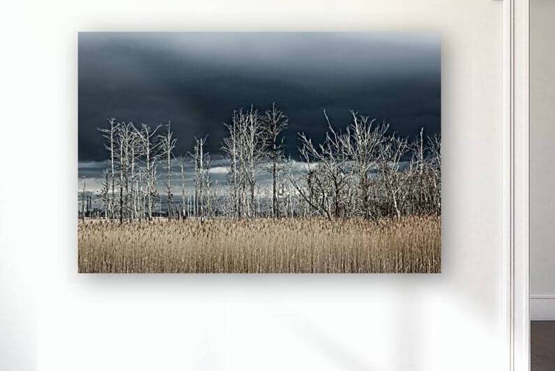 Carolina Storm Brewing by Nina Haman Art Photography