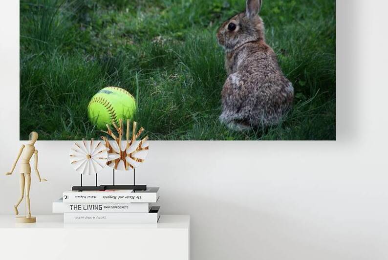 Softball Bunny by Nina Haman Art Photography