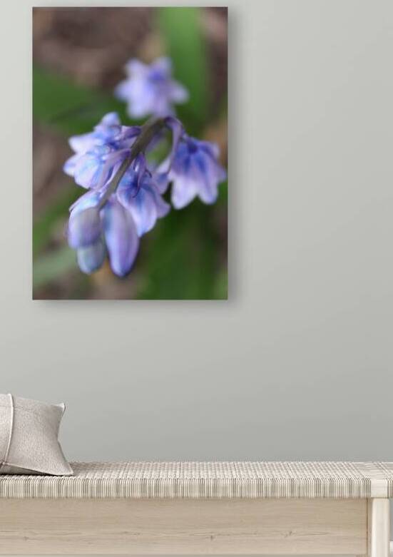Periwinkle Pedals by Nina Haman Art Photography