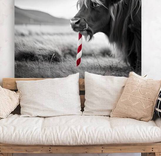 Christmas Critters Highland Cow II by Nina Haman Art Photography