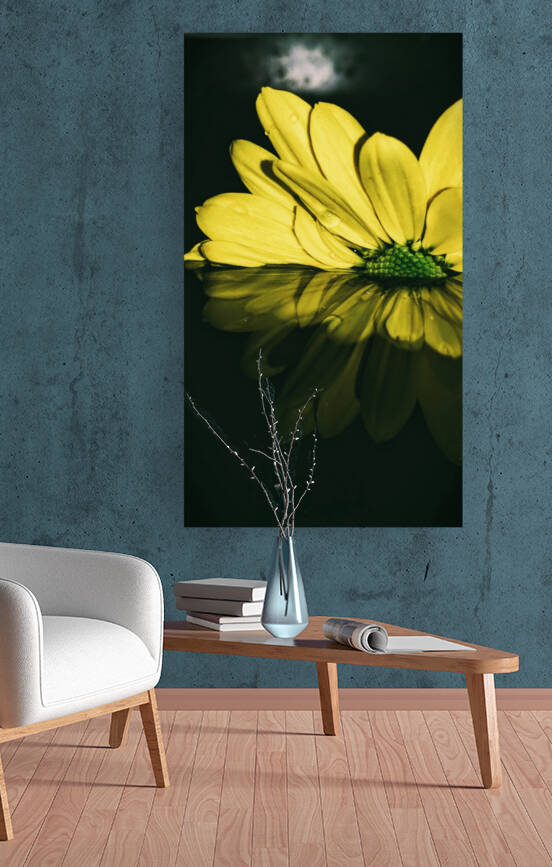 Dipping Daisy by Nina Haman Art Photography
