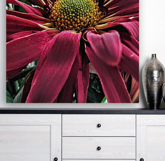Fusia Fusion Flower by Nina Haman Art Photography