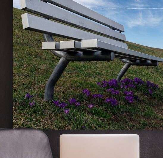 Spring Bench in Newark by Nina Haman Art Photography