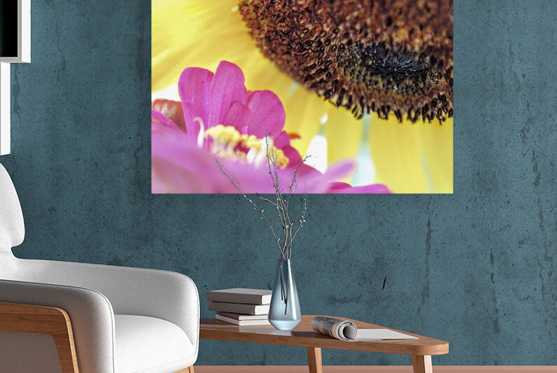 Flower Conversations by Nina Haman Art Photography