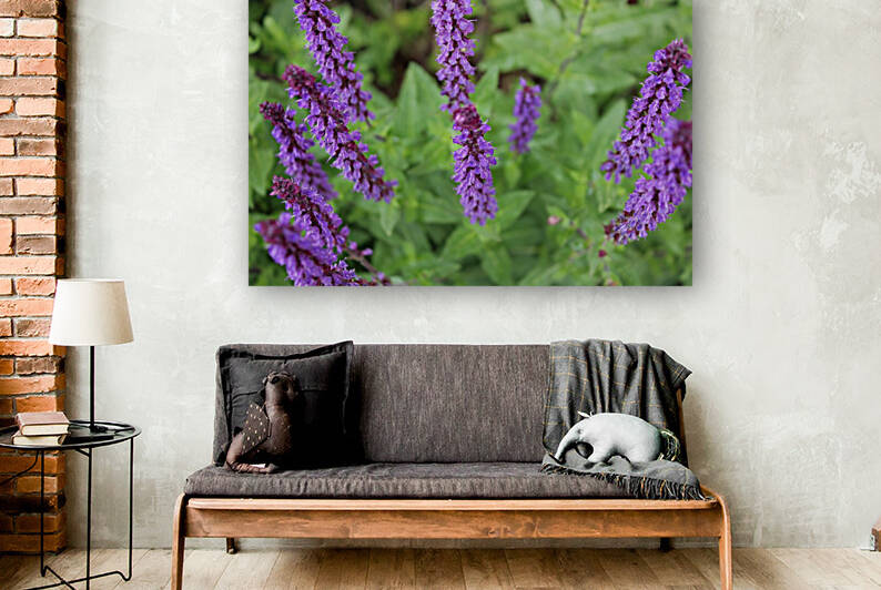 Purple Sage Flowers I by Nina Haman Art Photography