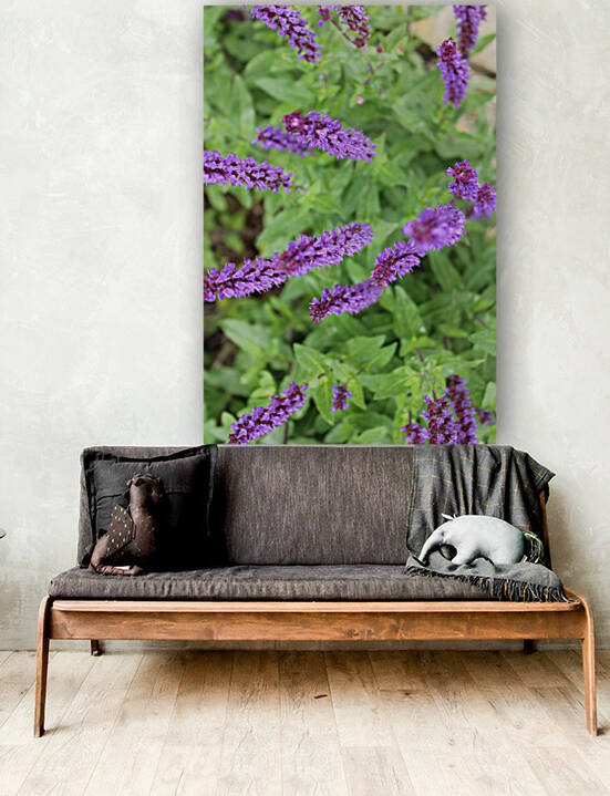 Purple Sage Flowers II by Nina Haman Art Photography