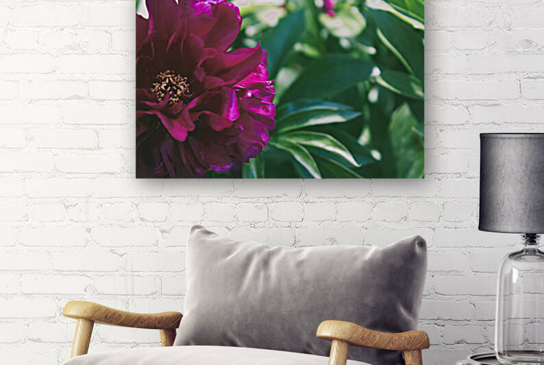 Pretty Pleasing Peonies III by Nina Haman Art Photography