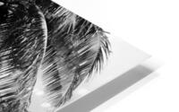 Paradise in B&W HD Metal print