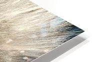 Wishful Thinking I HD Metal print