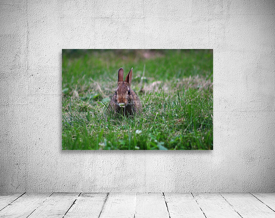 Bunny Bloom Wall Preview