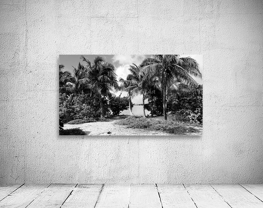 Paradise in B&W Wall Preview