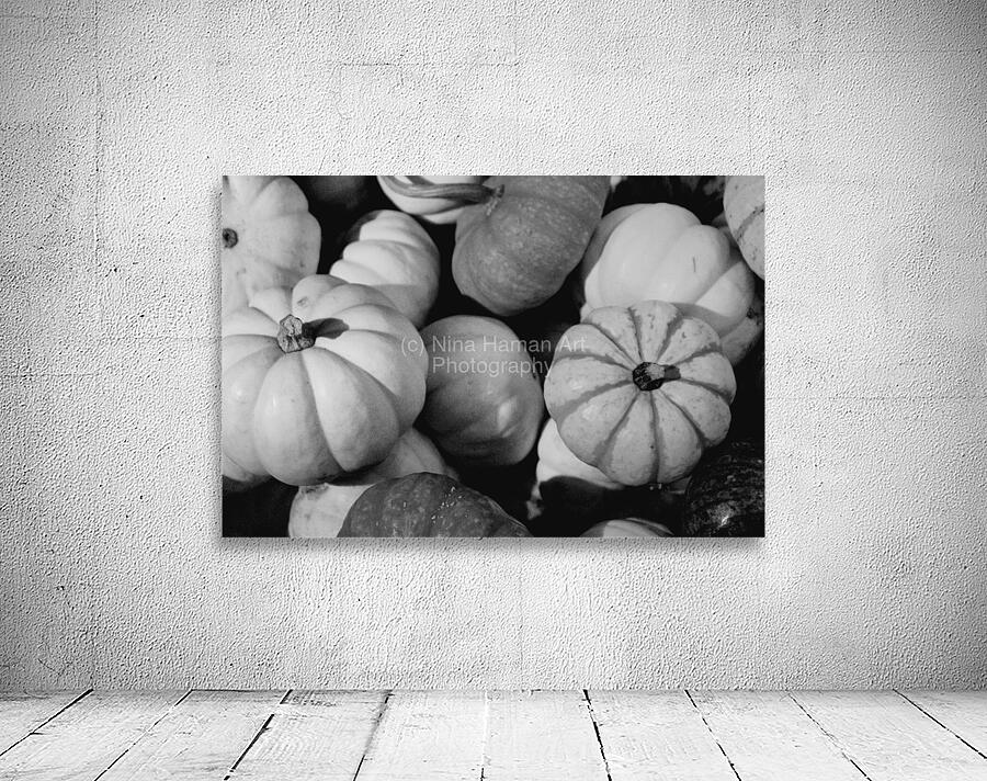 Gourds Galore Wall Preview