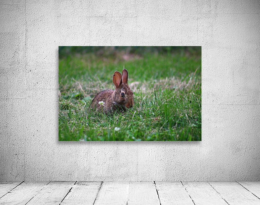 Bunny Bloom III Wall Preview
