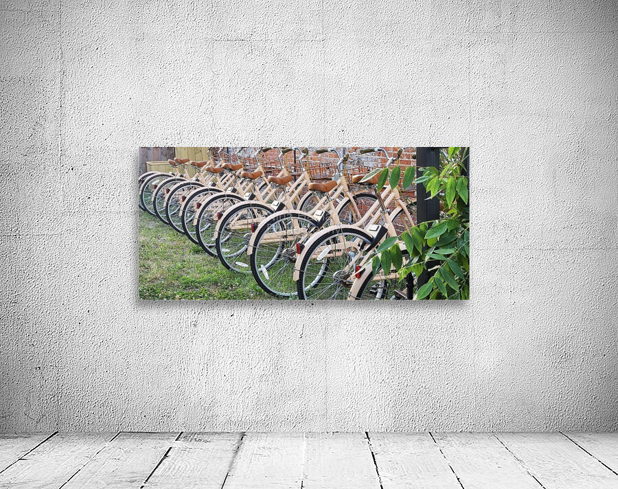 Peachy Bikes Wall Preview