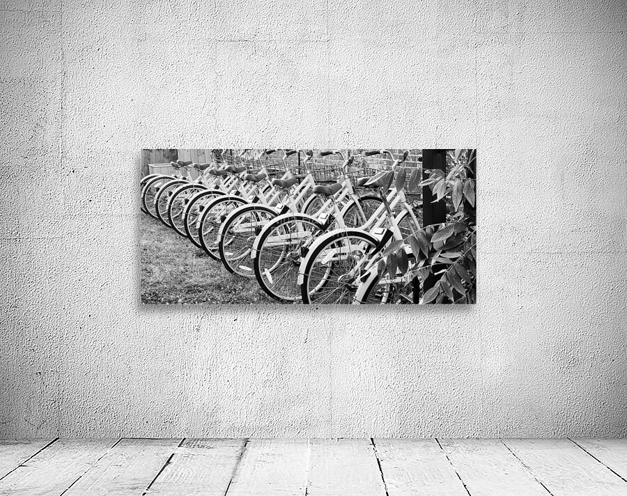 Bikes in a Row Wall Preview