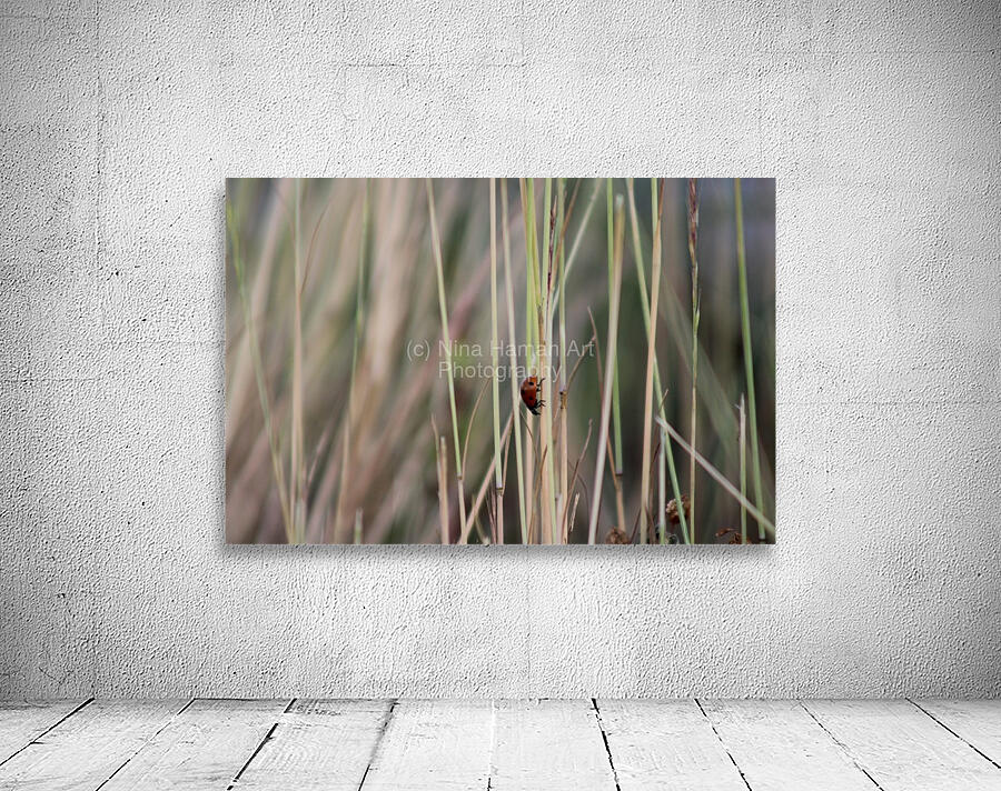 Lonesome Ladybug  Wall Preview