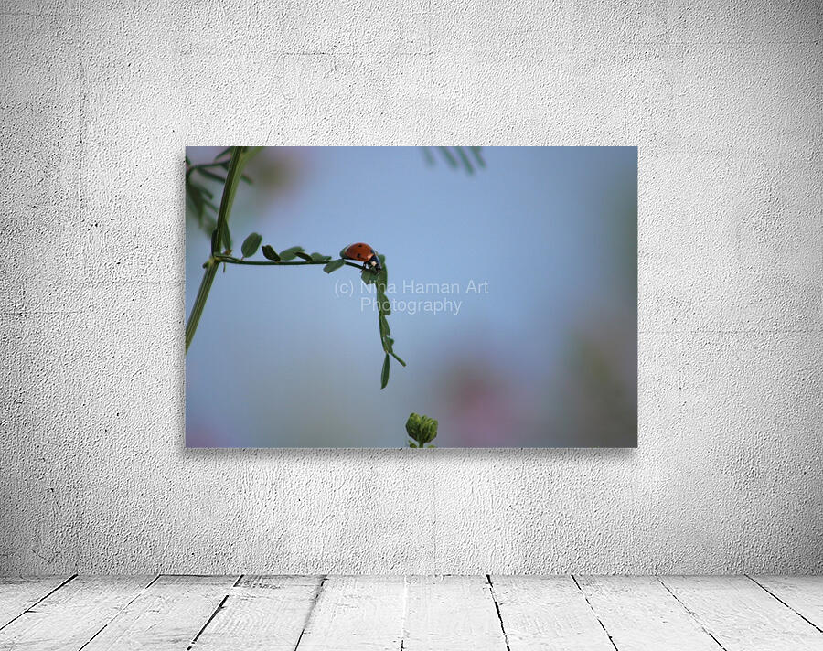 Lonesome Ladybug Wall Preview
