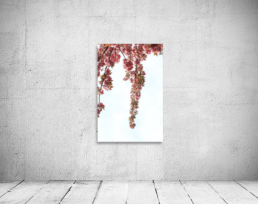 Springtime Cherry Blossoms Wall Preview