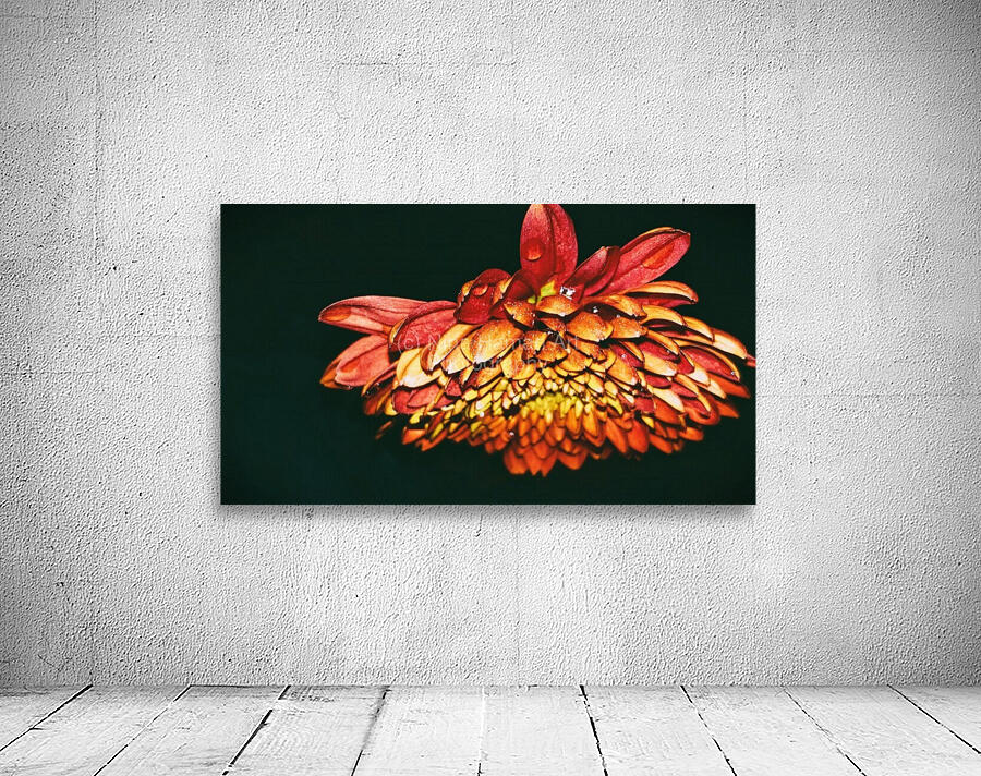 Falling For Mums Wall Preview
