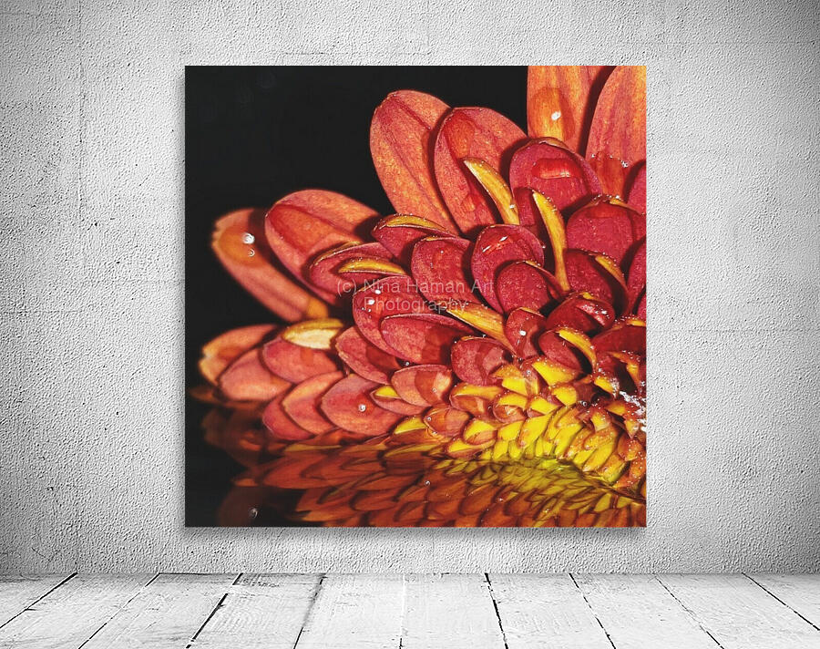 Falling For Mums II Wall Preview