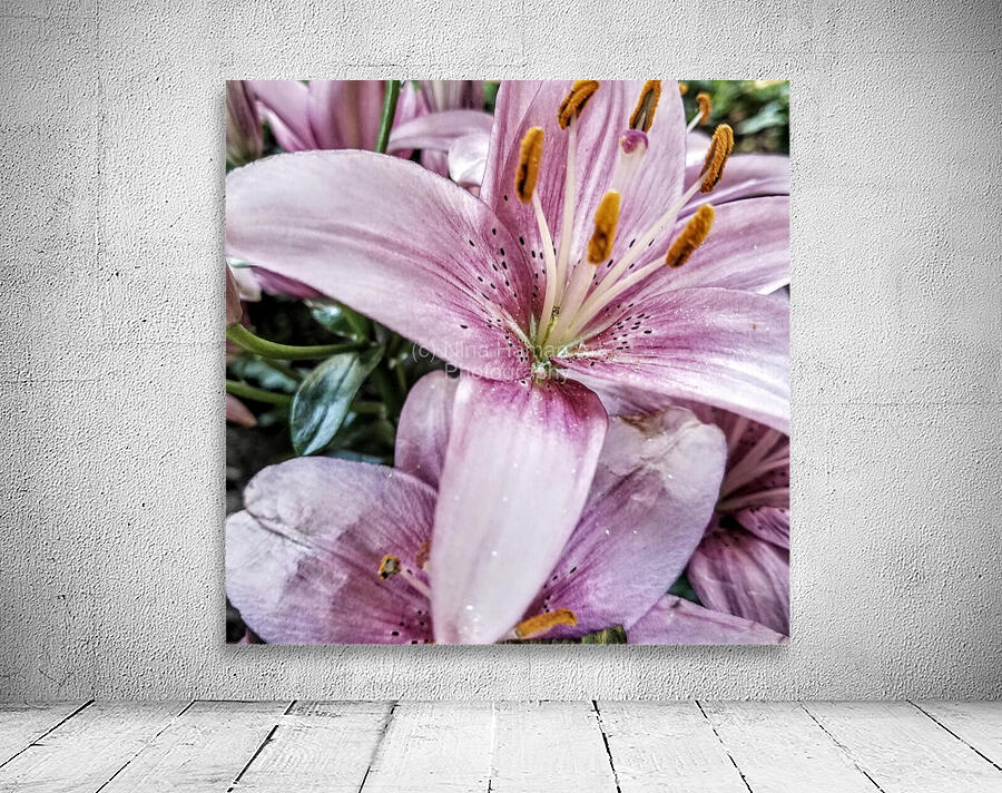 Lilies for Days Wall Preview