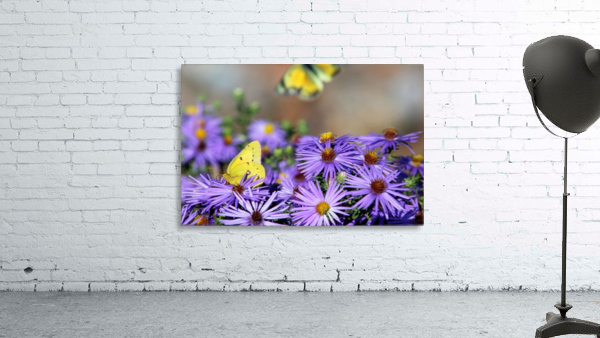 Lavender Lovelies  Wall Preview