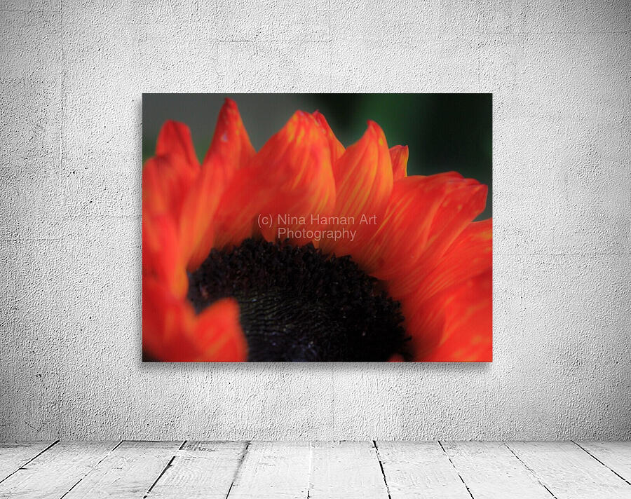 Silky Sunflower Wall Preview