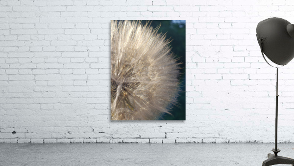 Wishful Thinking II Wall Preview