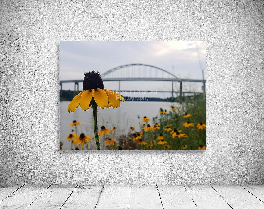 Susans By The Bridge Wall Preview