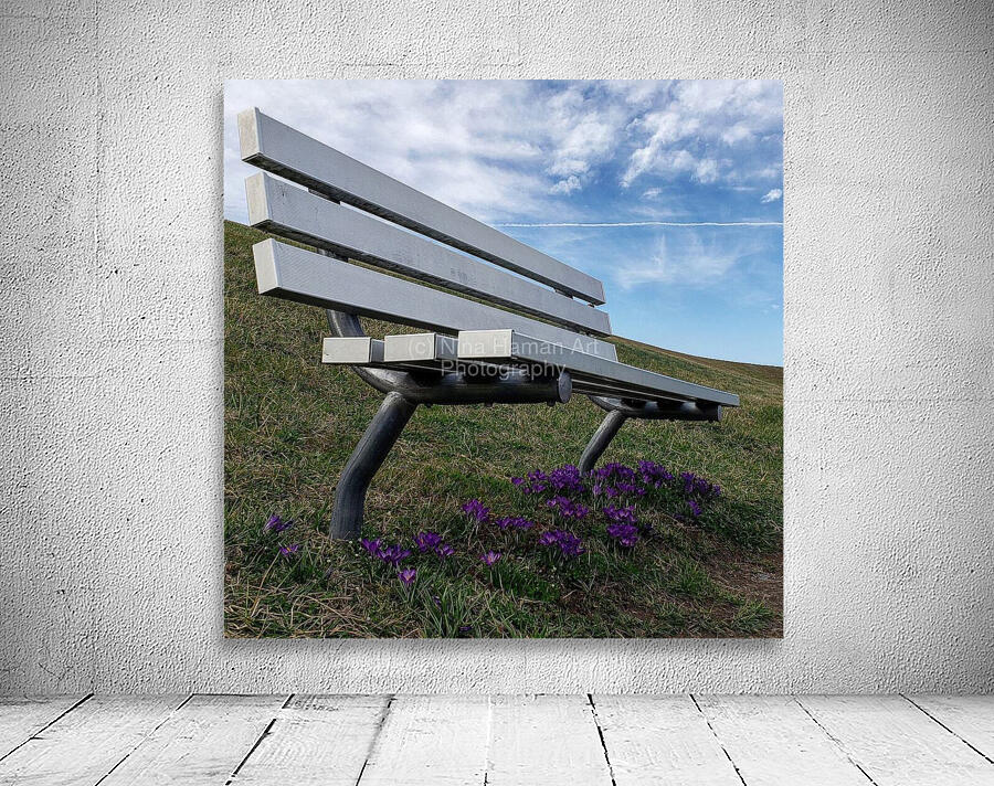 Spring Bench in Newark Wall Preview