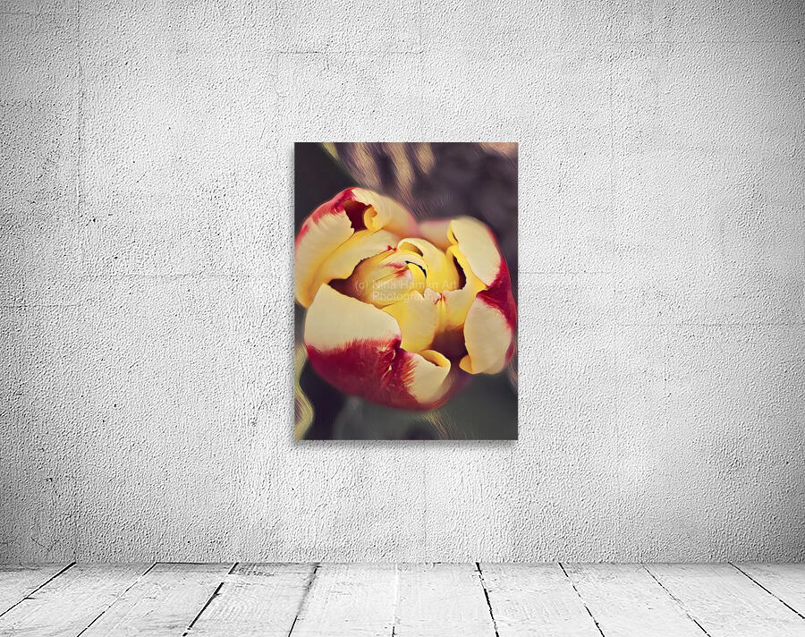 Painted Tulips Wall Preview