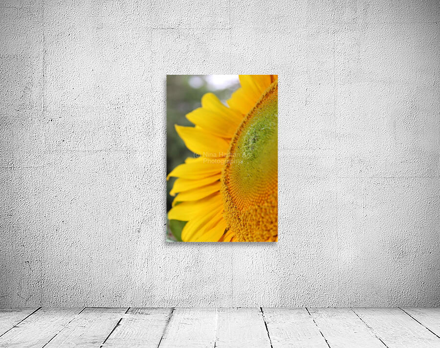Hello Sunshine Wall Preview