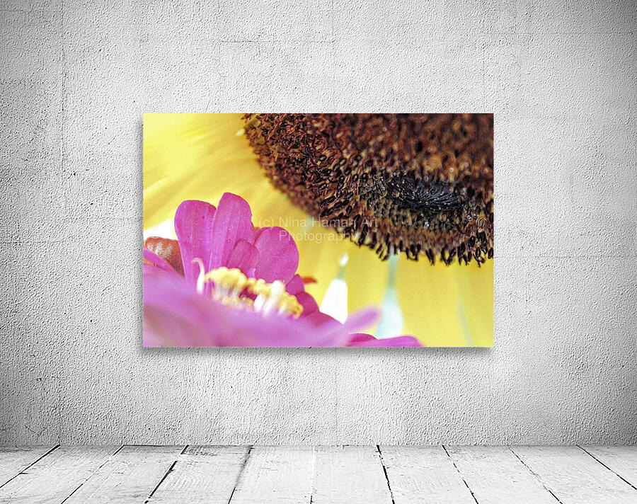 Flower Conversations Wall Preview