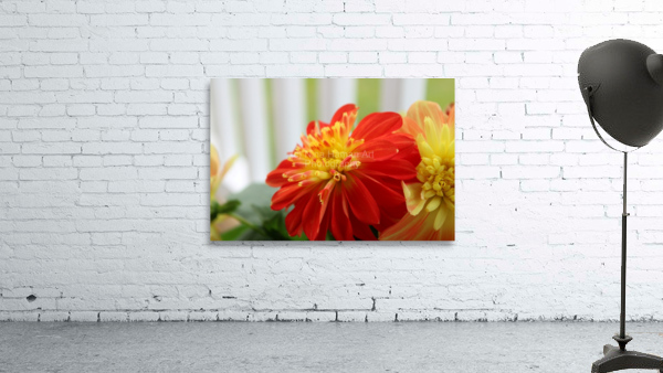 Fireball Flower II Wall Preview