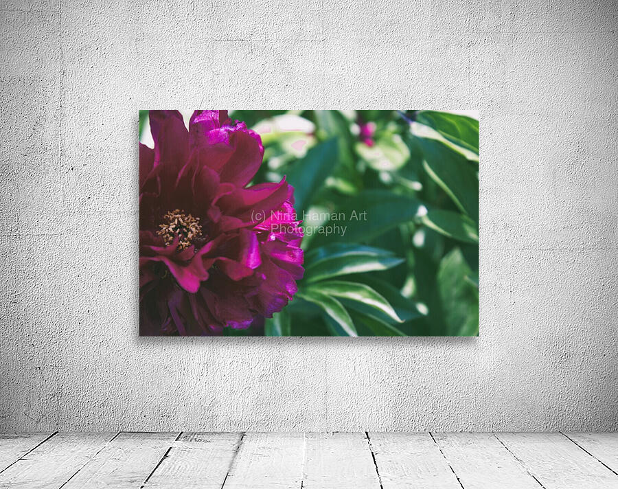 Pretty Pleasing Peonies III Wall Preview